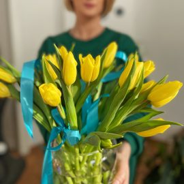 Ula Pedantula żółte tulipany niebieska wstążka
